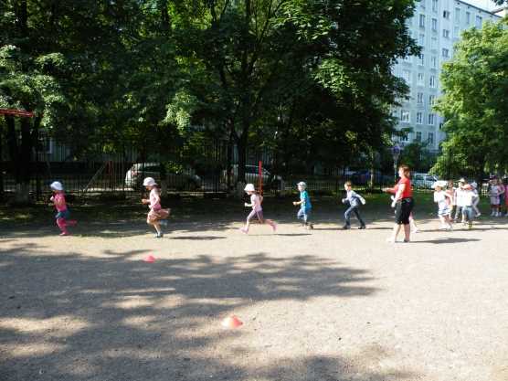 Активные спортивные занятия для детей старшей - подготовительной группы