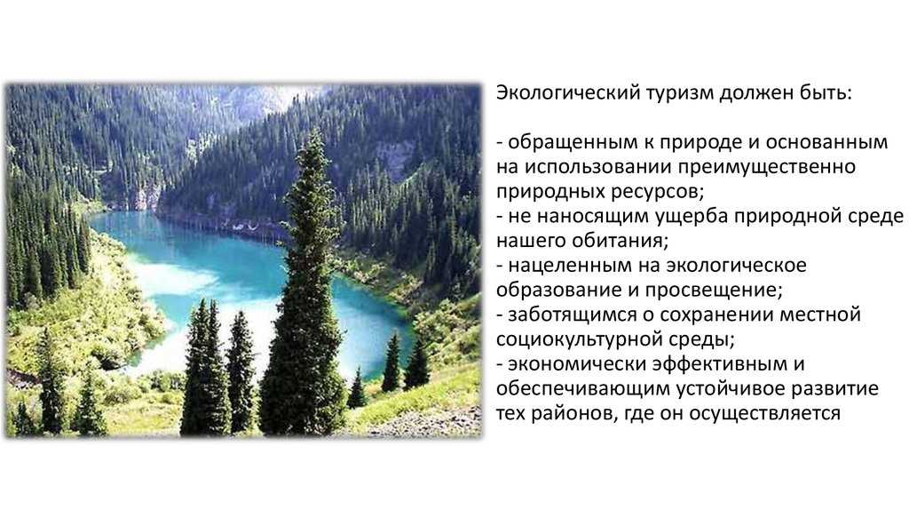 Проблемы и перспективы развития экологического туризма на территории Республики Казахстан