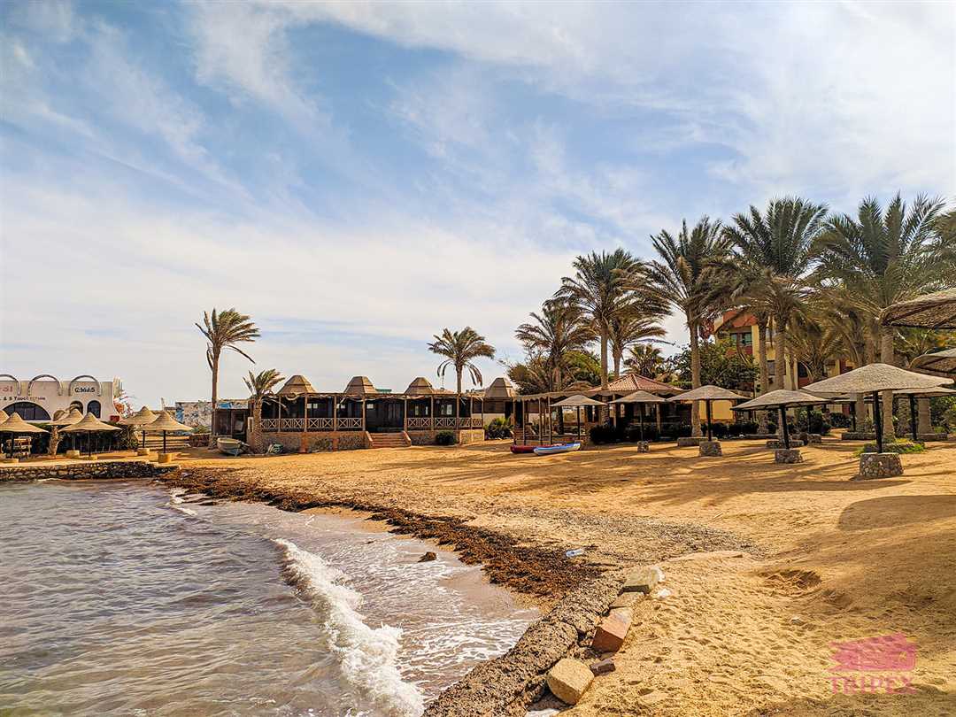 Отдых на пляжах ОАЭ в феврале: идеальный вариант для зимнего сезона