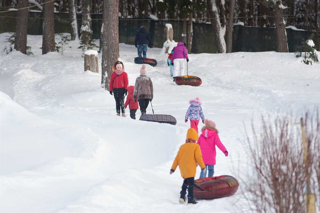 Куда поехать с детьми зимой на природу